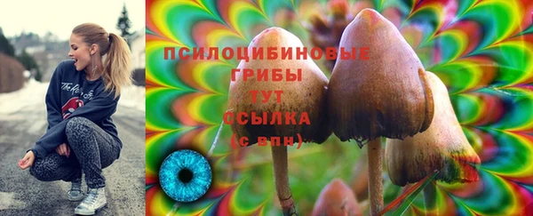 a pvp Арсеньев