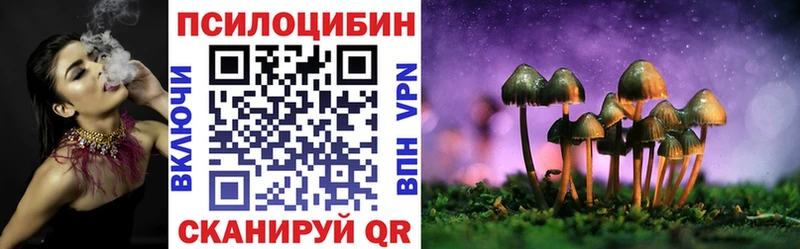 Купить  Донецк  Псилоцибиновые грибы Psilocybe 